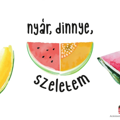 Elrajtolt a dinnyés nyereményjátékunk - Játssz és nyerj a Tiktokon!