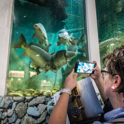 Újra indul a "Kapj rá!" kampány