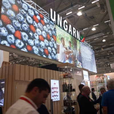 Sikerrel zártak a magyar közösségi standok az Anugán