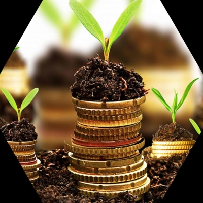 Agribusiness Konferencia 2019 - Innovatív üzleti megoldások a jövedelmező gazdálkodásért